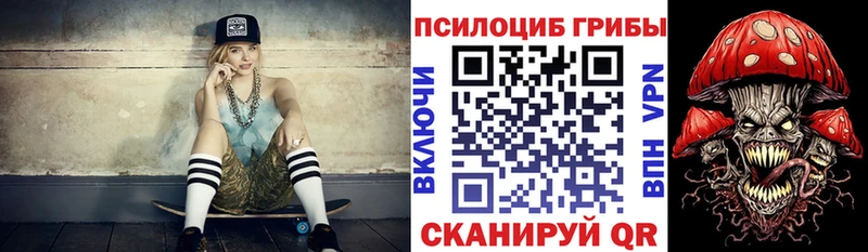 Псилоцибиновые грибы прущие грибы  Карасук 